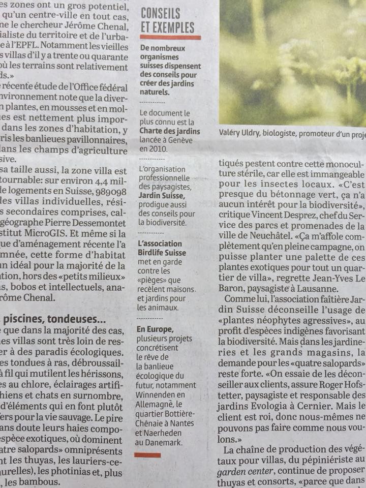 Préservons la zone villas et toute leur biodiversité