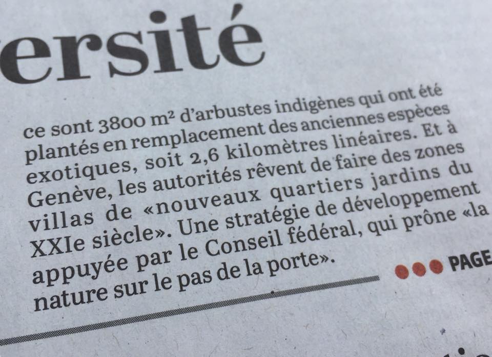 Préservons la zone villas et toute leur biodiversité