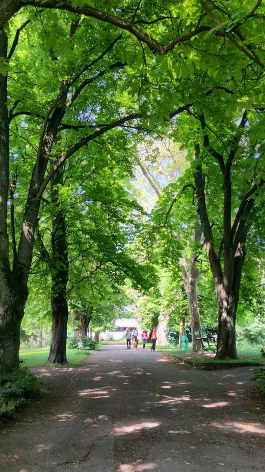 Préservons la zone villas et toute leur biodiversité