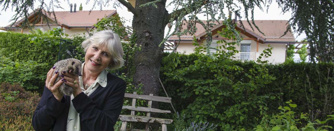 Préservons la zone villas et toute leur biodiversité - Christina Meissner et la sauvegarde des hérissons Le Temps 28-05-18