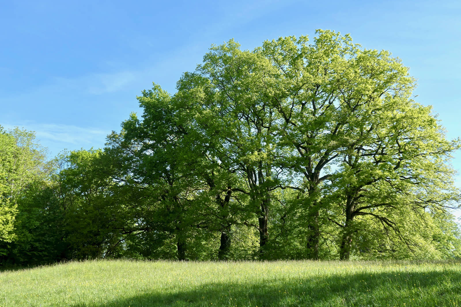 Parc des Evaux